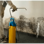 spraying chemical on for for mold removing