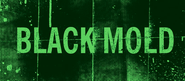 BLACK MOLD